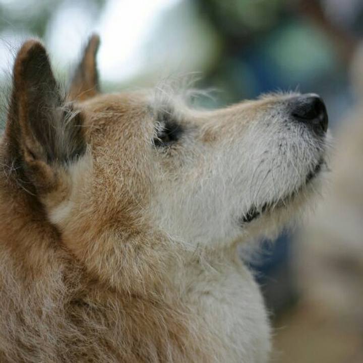 80ddc048 6f52 4e5f a37b 851b742d99f8