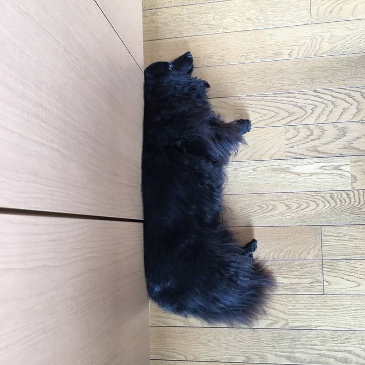 80de5d5f 21d6 48df 80a2 54064e8f18a7