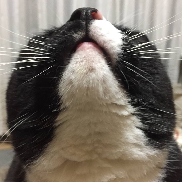 80dede84 93b1 4fbf 9862 727c920b7c96