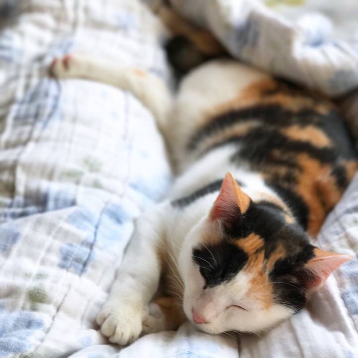 80df0240 bbda 4bf4 adb7 8c8b045d9f60