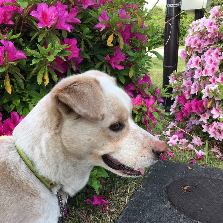 80df7098 3f89 4fd3 bbad 140bdff5d147