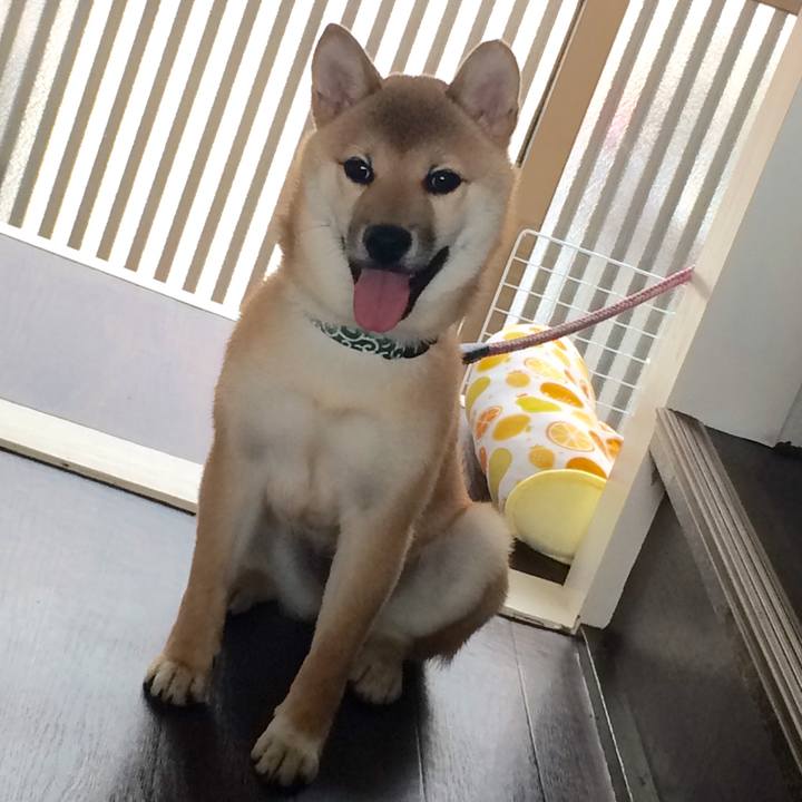 80df74f8 93dc 4002 abe2 c73a5f507821