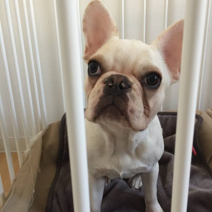 80e15e45 c819 41b8 8701 cefc6a65b204