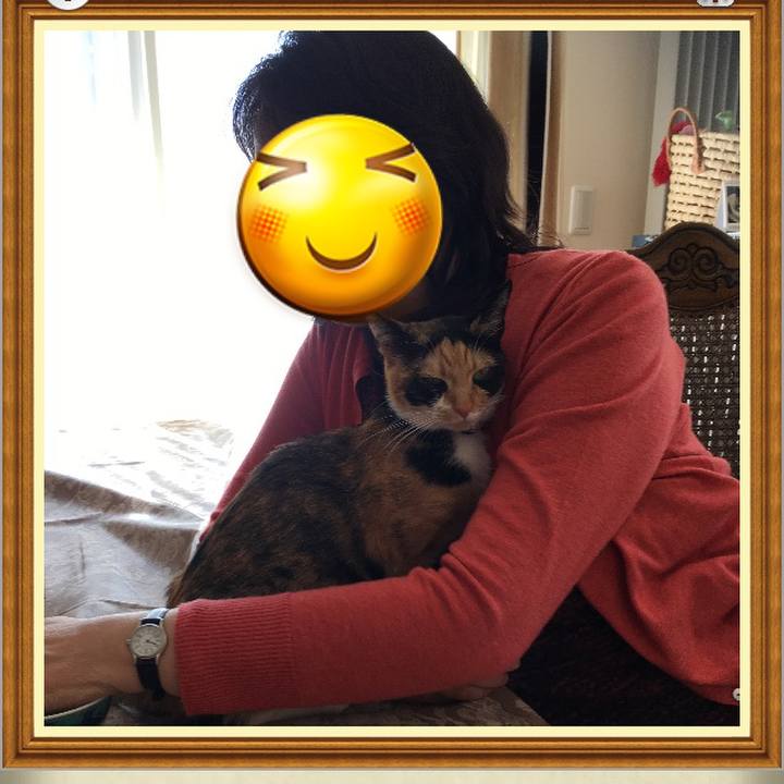 80e1809f f327 4524 a52b 3a97a5ac9ad3