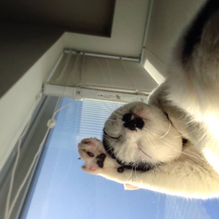 80e19527 69a4 4fb9 838f 5493631c7206