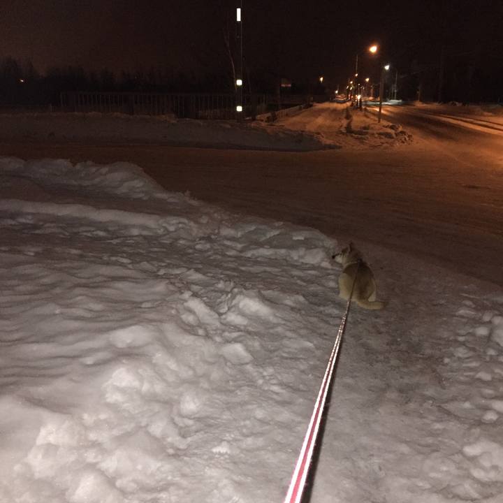 80e25e2a 7c12 4f03 8748 bc9d27ecfa9b