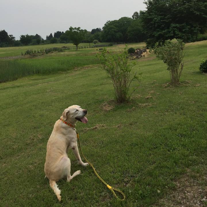 80e2881b 56b3 4bb0 85a7 ce44bb1ad978