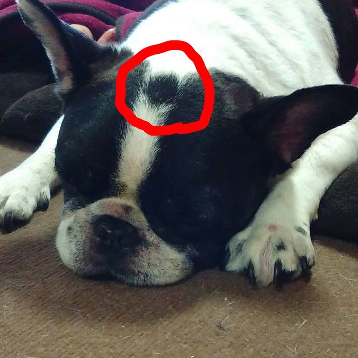 80e2bb16 8509 4262 91e6 200200ee45a1