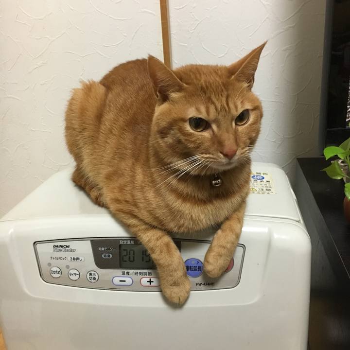 80e34af4 7f6b 4f71 99ce ca806a4d6da5