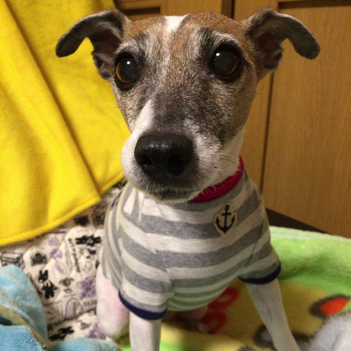 80e4293b 1e6d 40fa bc7d 6243027ade47