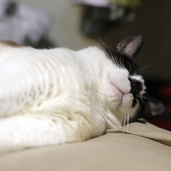 80e47757 55b0 4877 b654 1dd62708fcad