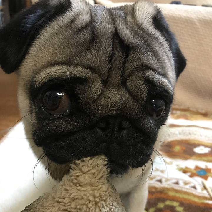 80e4a1f5 4fc8 4246 8ec7 dbb741825b77