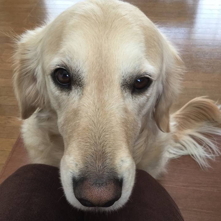 80e553bf dbc5 4395 9c81 8e56d5e82242