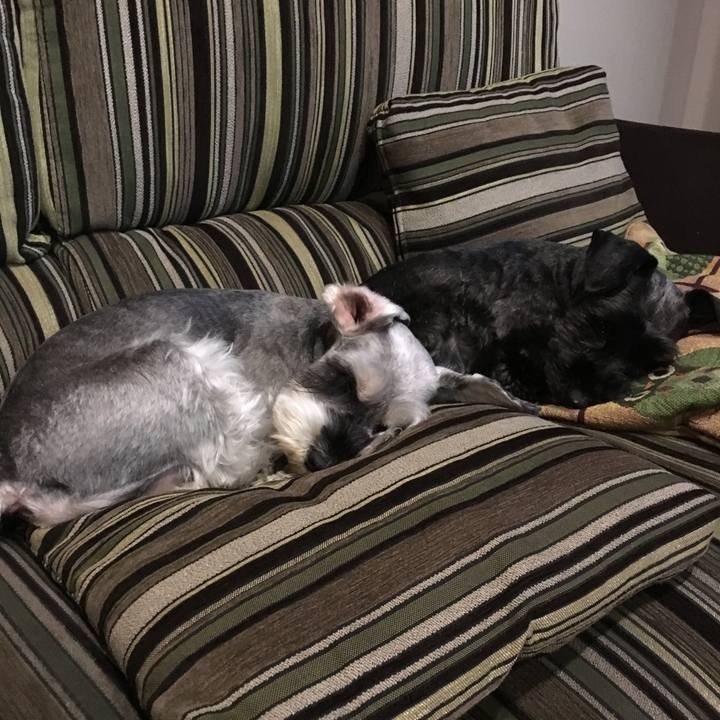 80e5a132 41a3 4930 bd67 2bc3eb537d4d