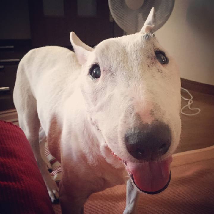 80e5a138 5bd8 4f50 892f 71141d5e76e6