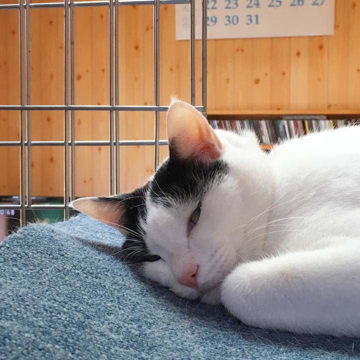 80e5e71d c12d 4264 874b 6353a1a19f74