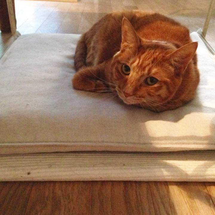 80e6c9f5 d3ec 4608 9160 b1d71c871dbc