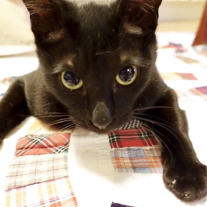 80e6dd1d 4c06 48bc 8e58 8ff5bbf565c0