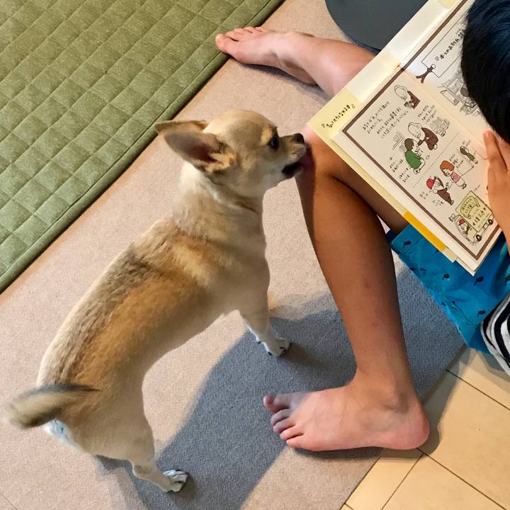 80e7718b 2f50 426f b78c 6a09e514c9e6