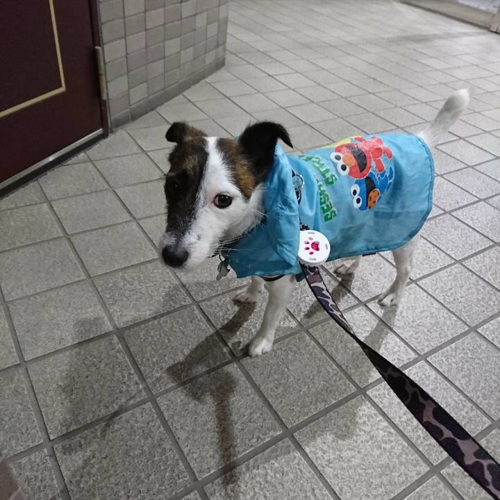 80e868c1 fdbc 4d69 bc45 5ca16557ef6b