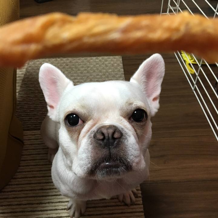 80e87538 e43f 451c a1f2 93aa66f10857