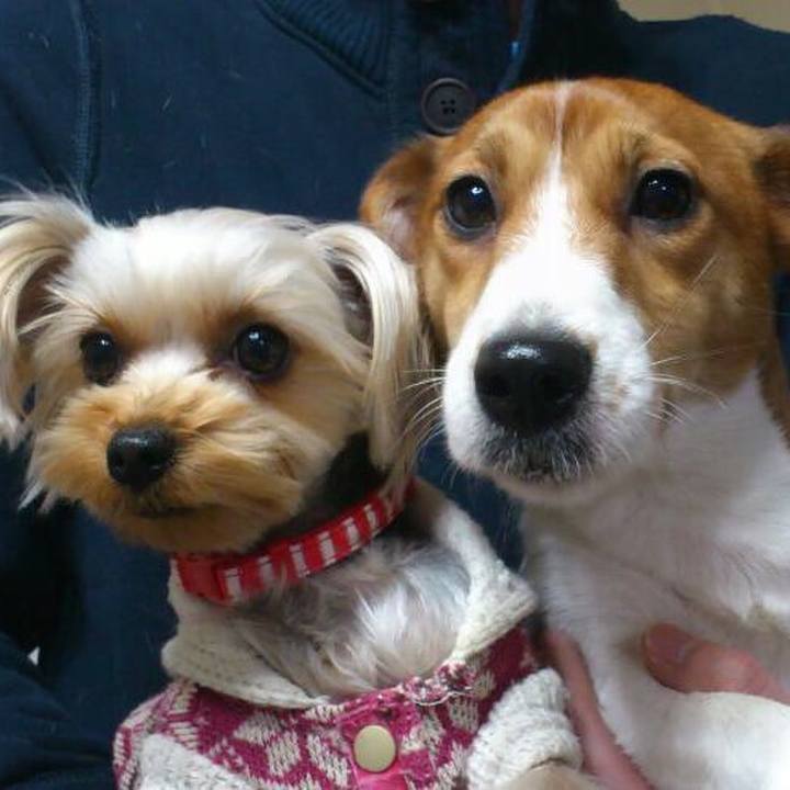 80e8dc30 00d6 428f b441 8e4eb513d5e6