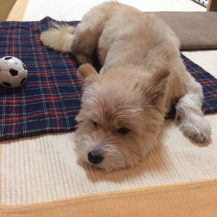 80e99ef8 2c92 4ee0 a512 9a8829fdbea7