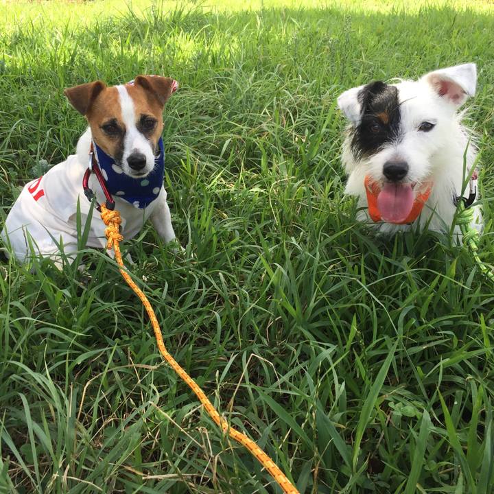 80ea8f0a 771d 48a7 a823 4ef2bb70c3fd