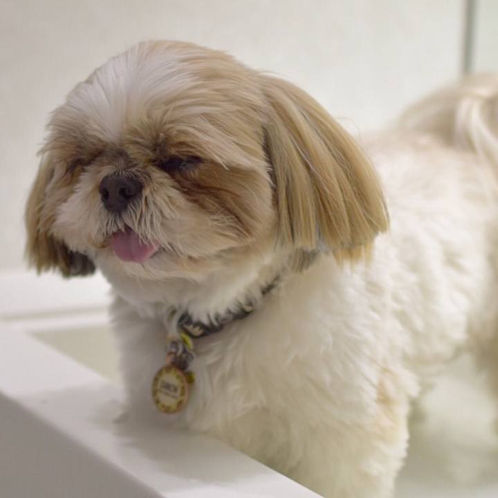 80eab4d8 26b4 45df 8e3f e6291cf96159