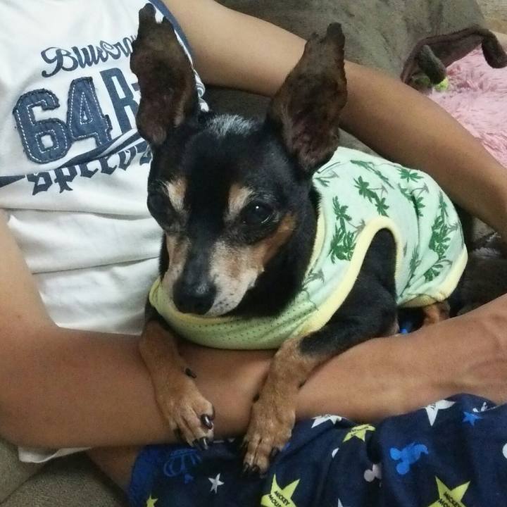 80eb053c a57d 40f6 8575 9c1d2df2eea0