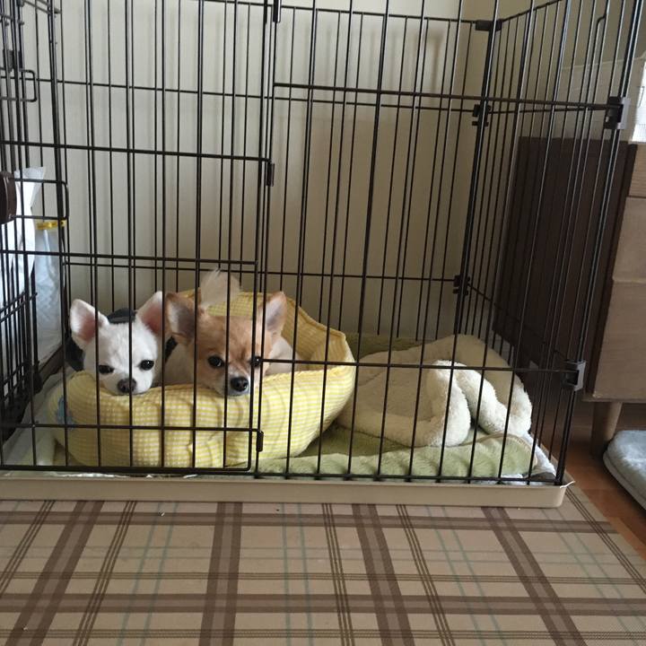 80ec171f b7e6 4015 be54 3e2a1236cf15