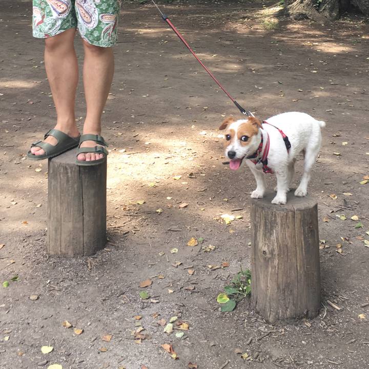 80ec200e 2998 4565 bc5b d3abca423d80