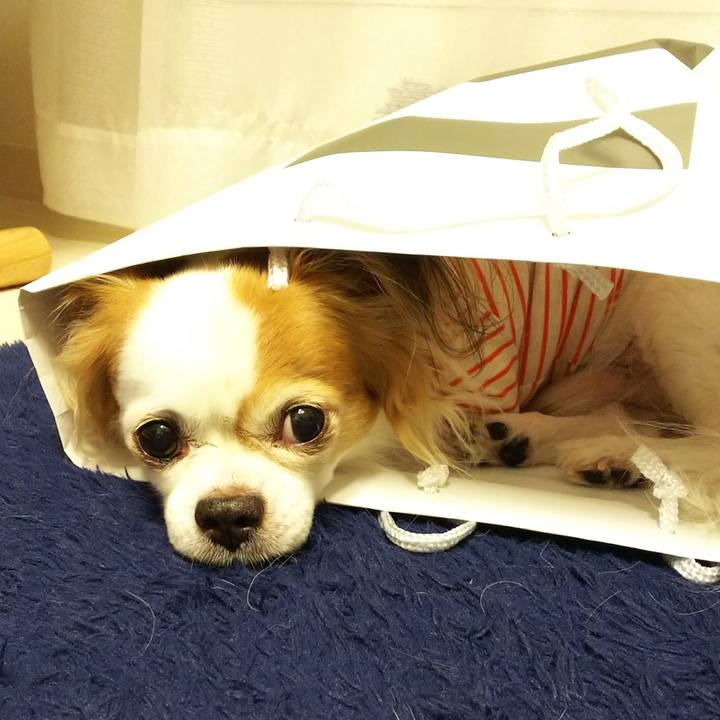 80ec4e6b f20d 47dd bc48 5eda49638592