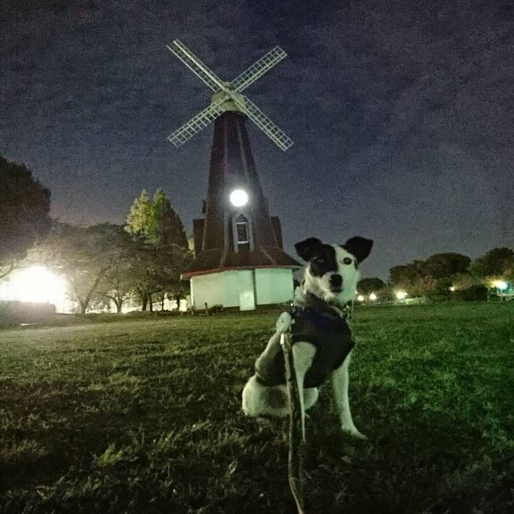 80ec9a89 8b0f 4806 bc8b f91214fc425f