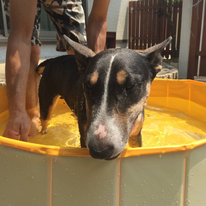 80ecb7a8 aace 44f9 81c5 62d6f9dbdd20