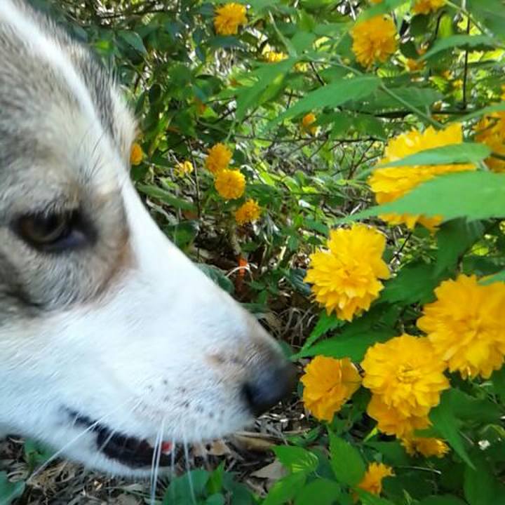 80ecbdf2 0be2 42bf aa74 1f103ef612bd