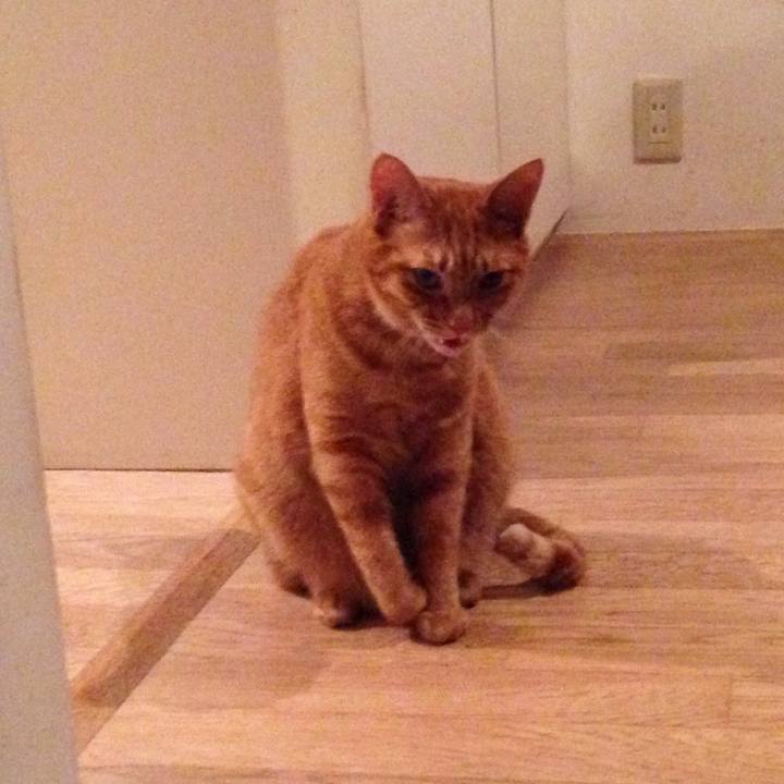 80ecf2bd e82e 4fbd a745 710d2c3104d6