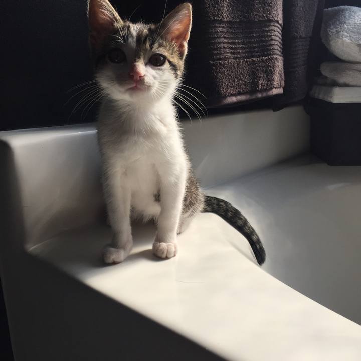 80ed230a c9cc 4b45 892b b7bb8026b039