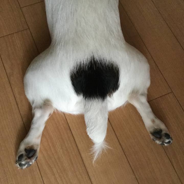 80eda9df a041 417a 8763 f0eabe228011