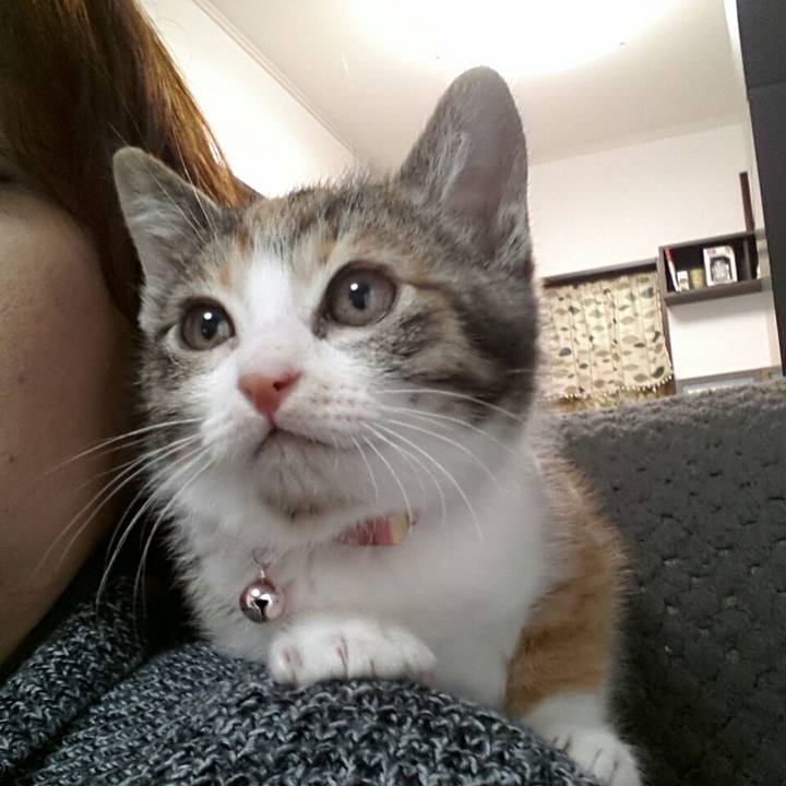 80ee6395 5a60 4867 aeac cbe43b7032b2