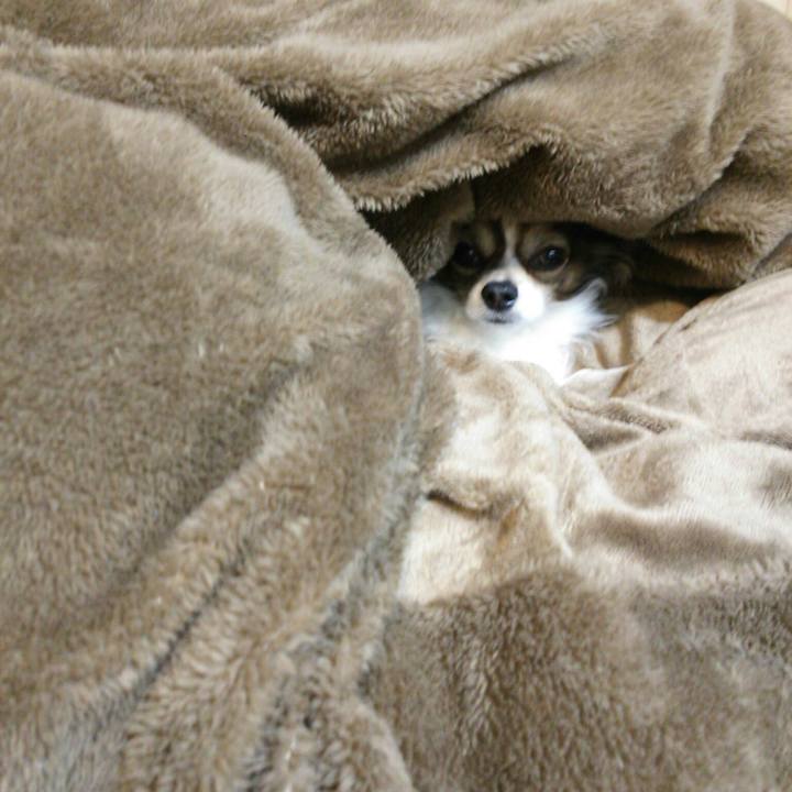 80ee6722 fcd5 418e b153 0256ef81a90e