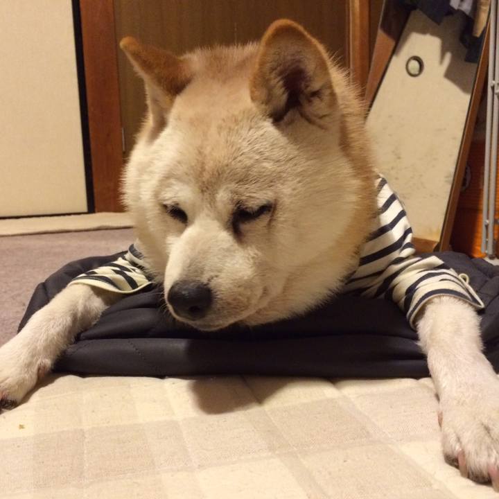 80eeda25 58fb 4af3 9acb c5e7a452b863