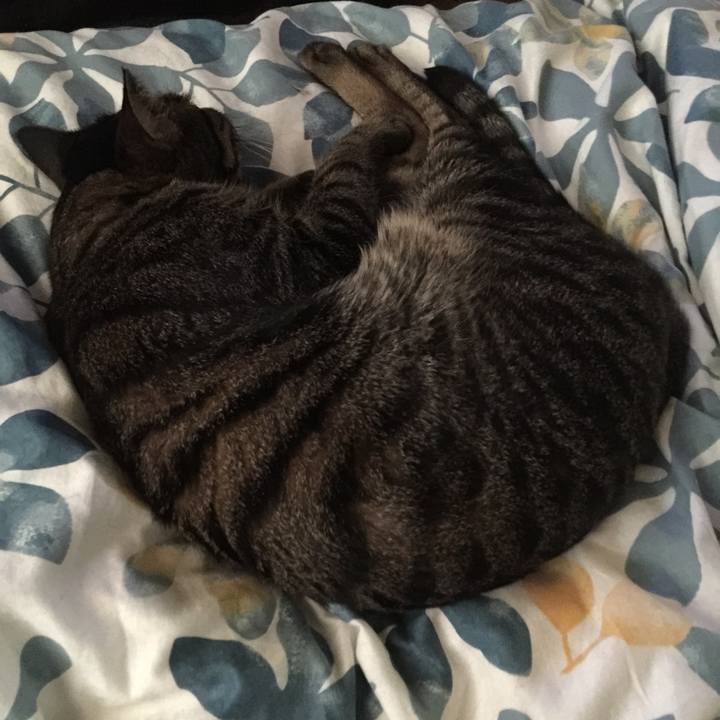 80ef1d35 a7f1 4b95 887c c6ea9beaf17d