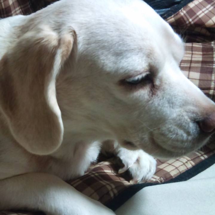 80efa386 9a8c 4b18 95ff 680c73fad364