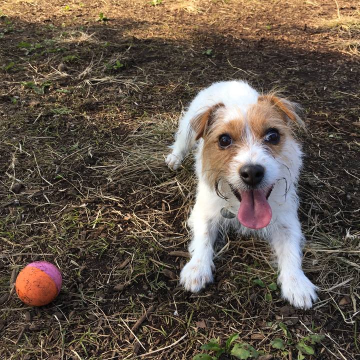 80efe8b7 269a 4b3c 9f81 b53be42da41c