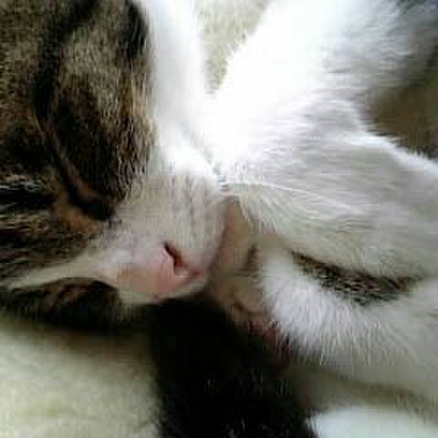 80eff9cb 6b3b 4d40 9d54 cb346c39f0d8