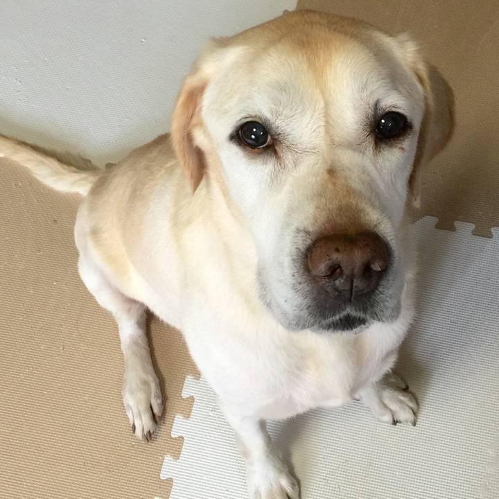 80f04454 2d24 4a61 b414 b9d9ef109f9d