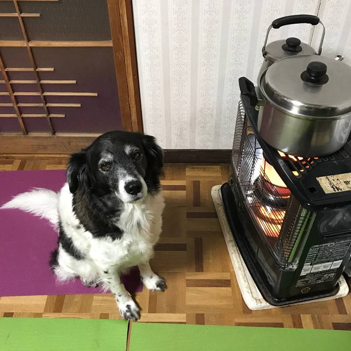 80f0722b 93c5 42af 8189 f2d2fad35449