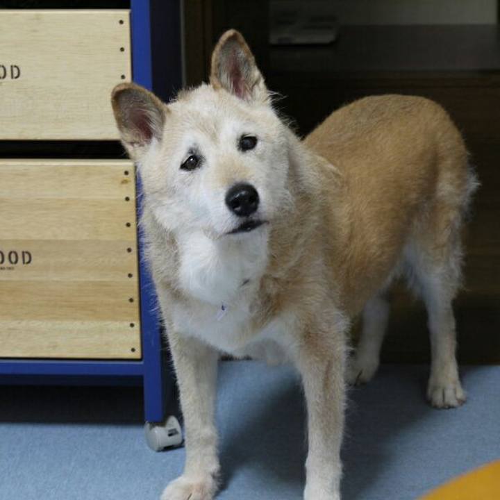 80f0c223 c1c0 43f8 9c03 82f25a2cb531