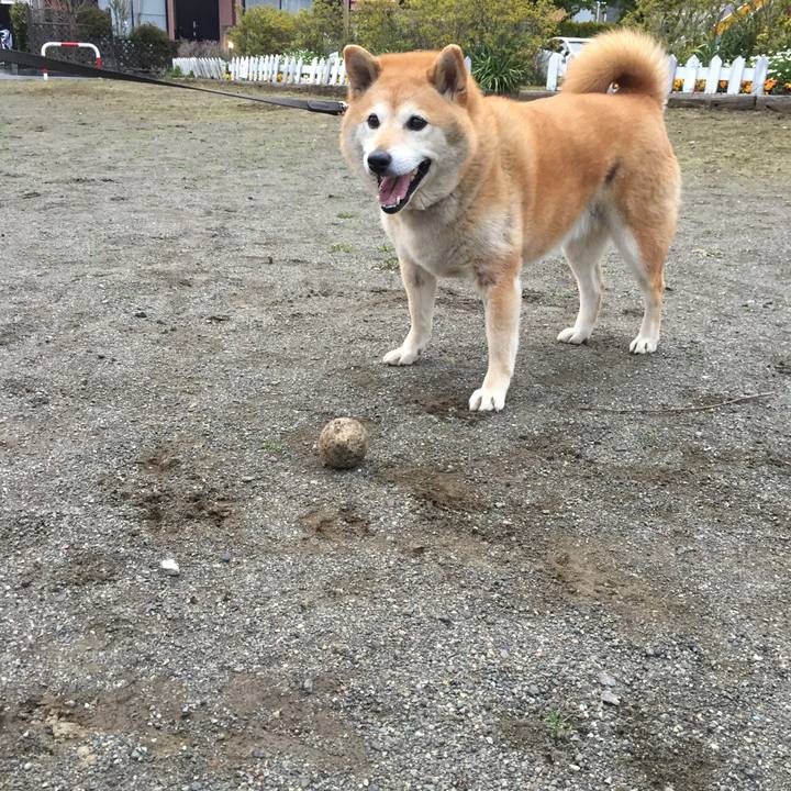 80f13095 c91e 4953 b536 ea186ba605f4